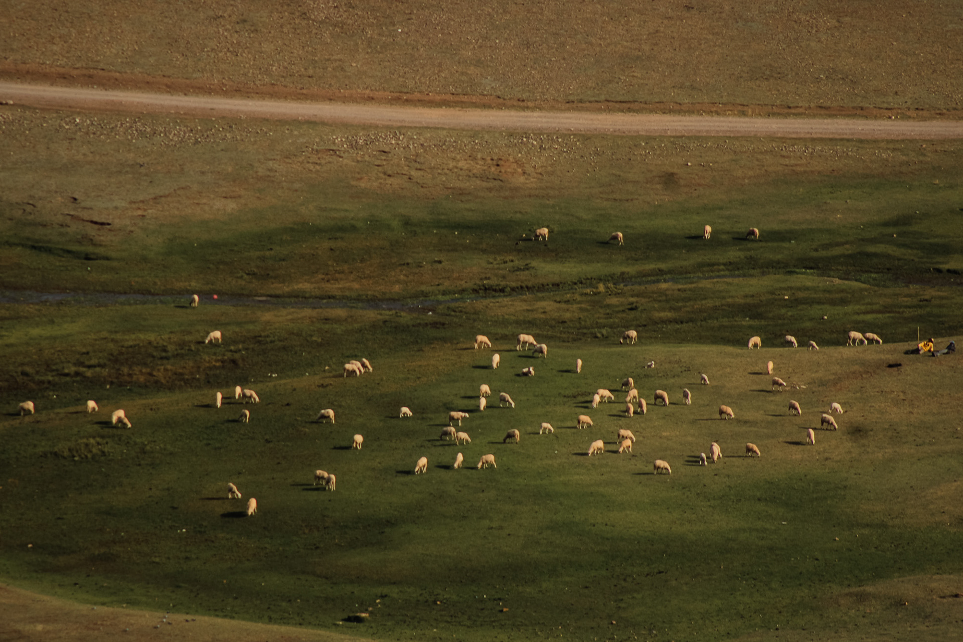 Atlas, Morocco, October 2025