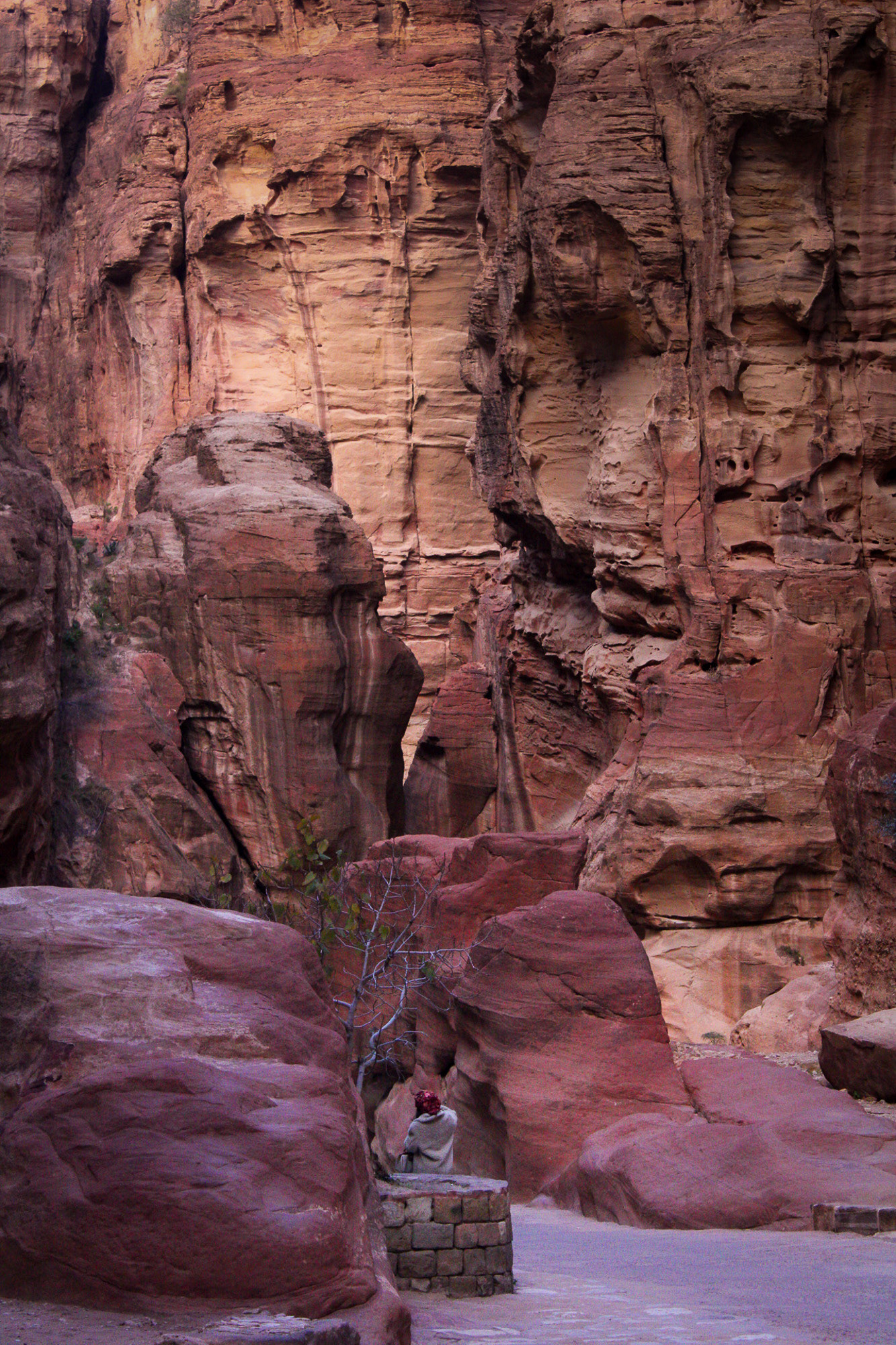 Petra, Jordan, December 2025