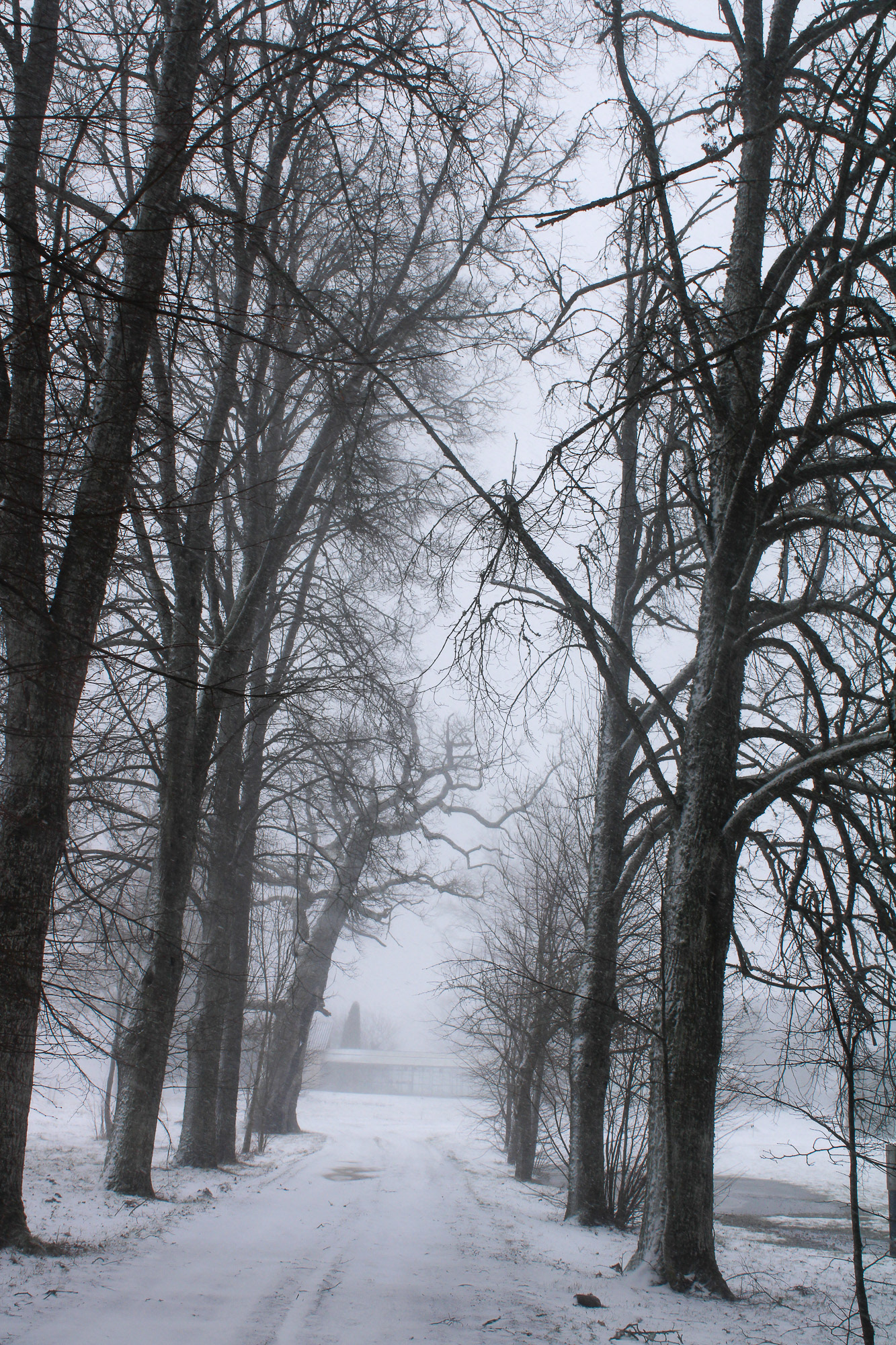 Kalna Zagari, Latvia, March 2022