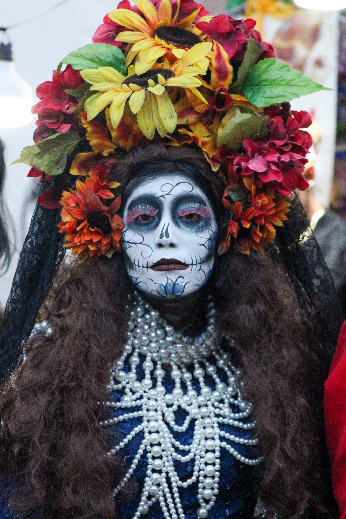 Michoacan, Mexico, November 2024