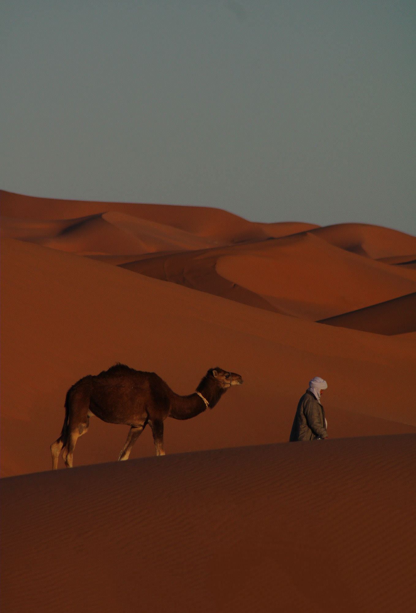 Merzouga, East Morocco, March 2021