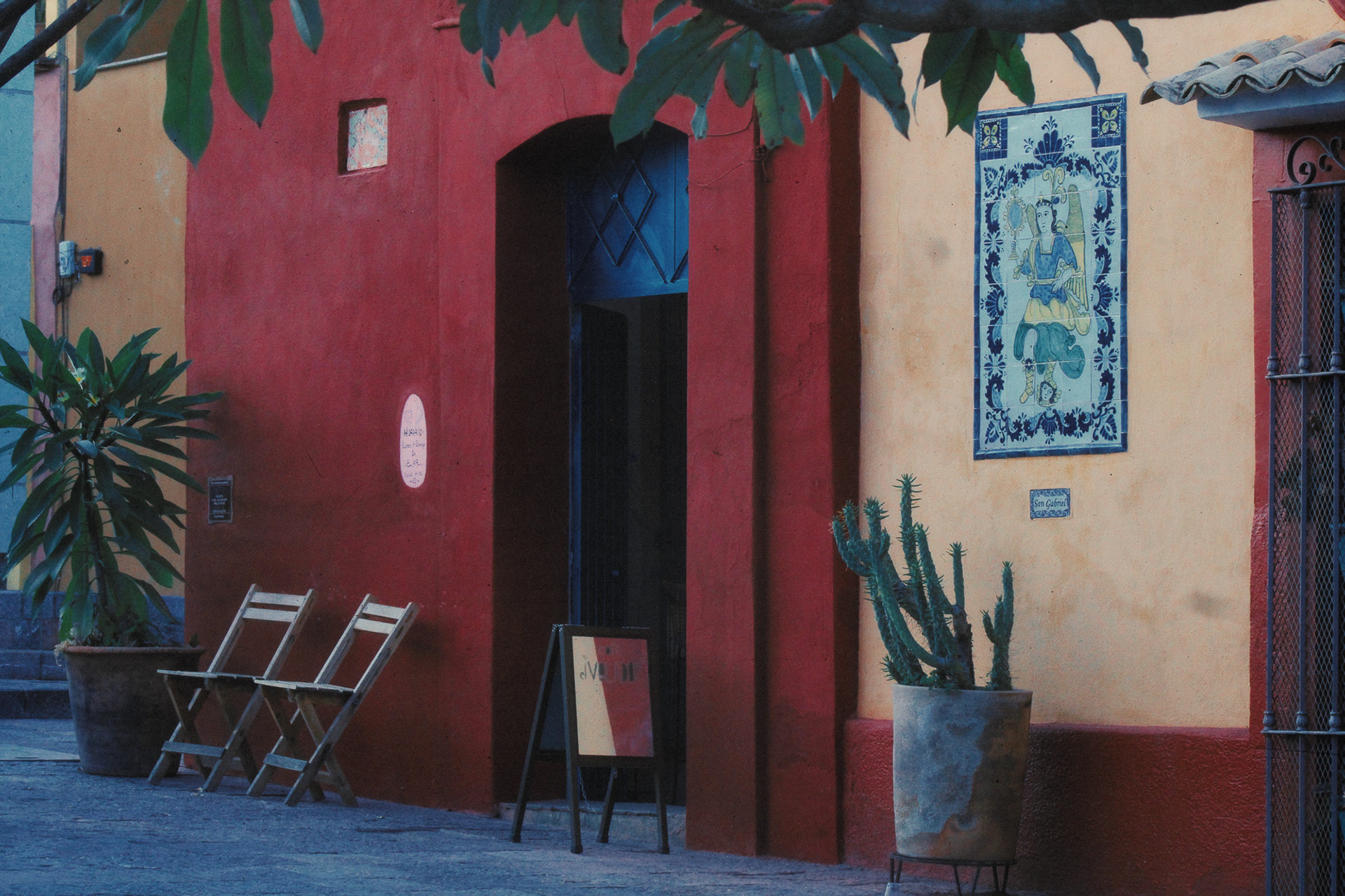 Oaxaca, Mexico, November 2024