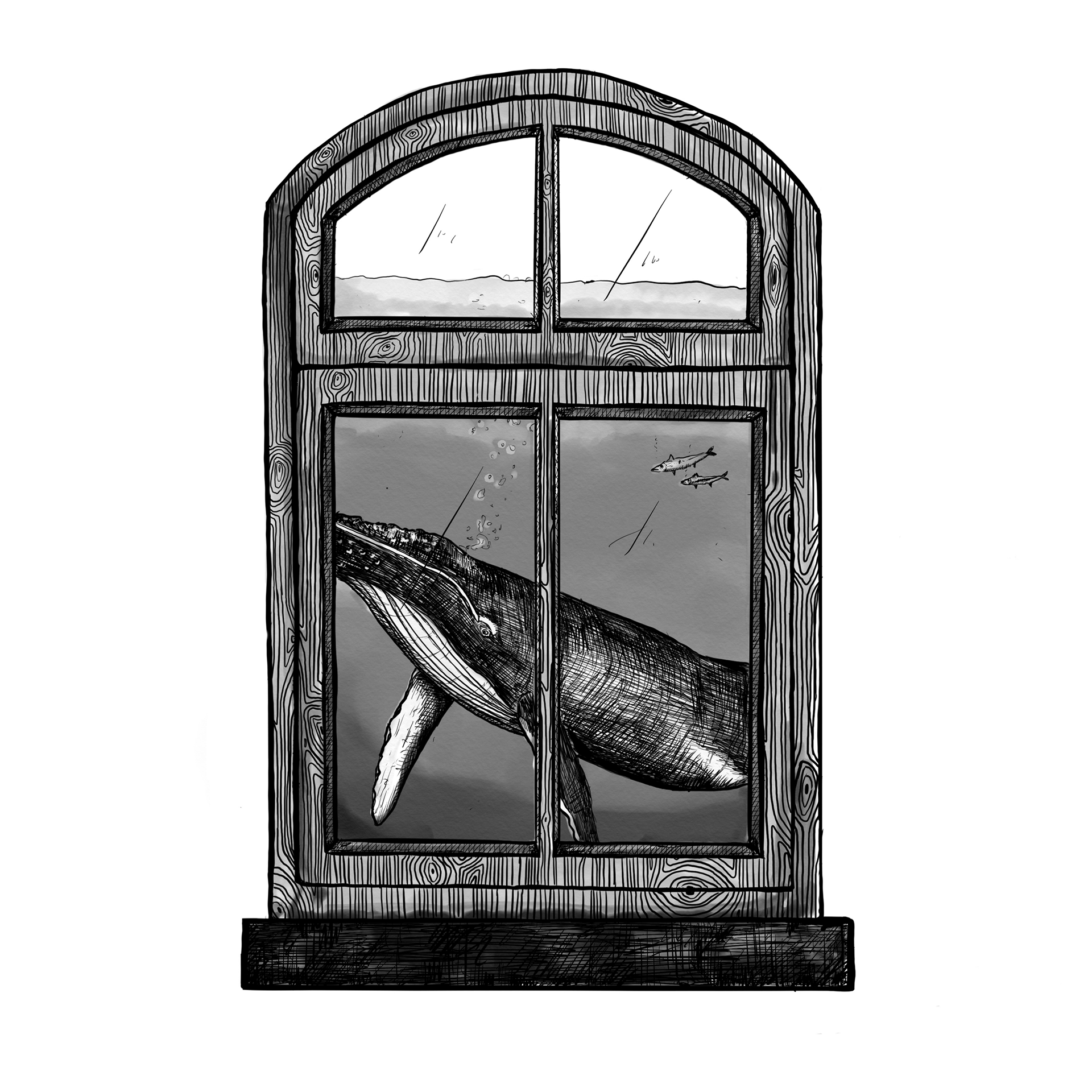 WHALE