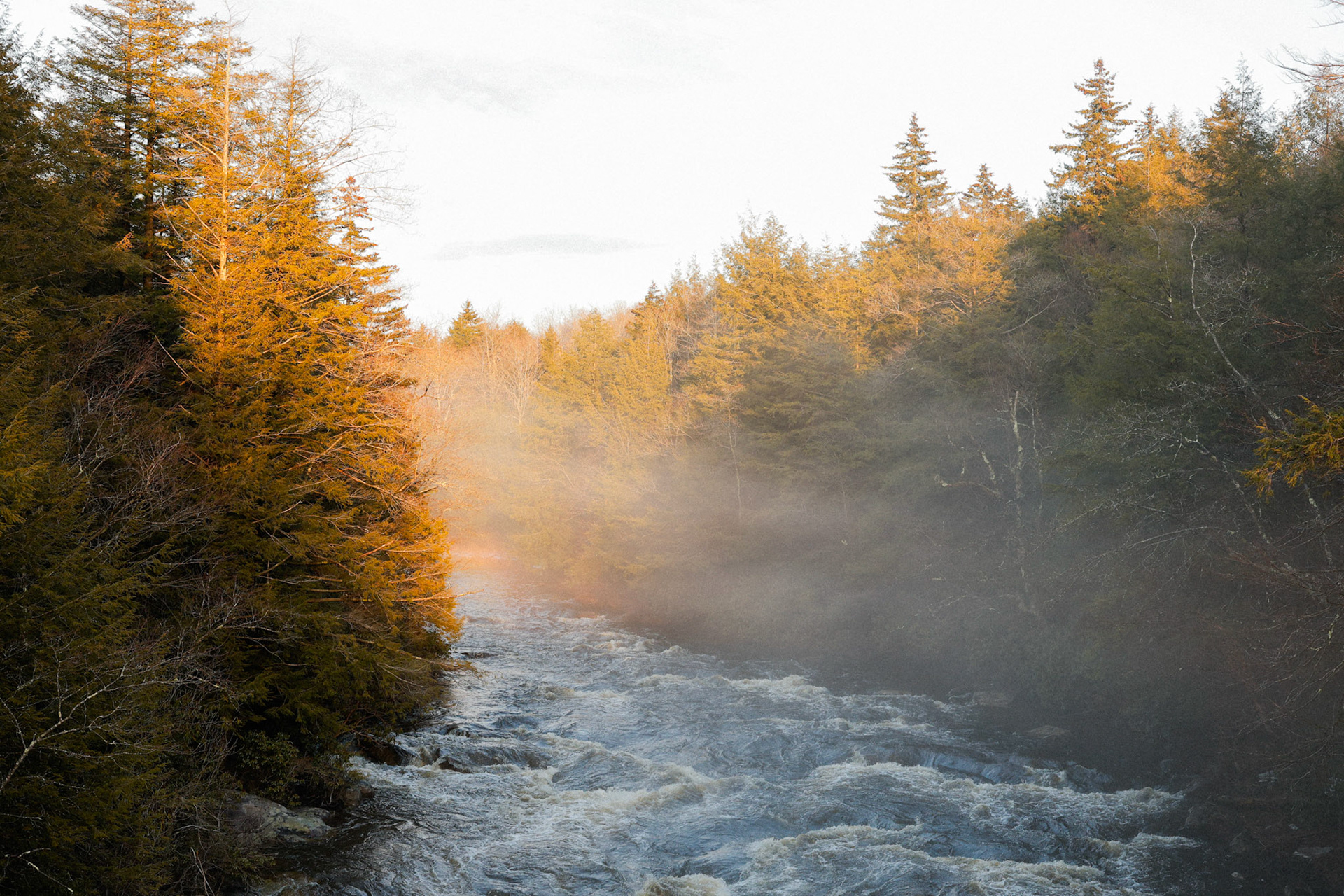 A view of the Black Water River at sunset in Black Water Falls State Park WV.