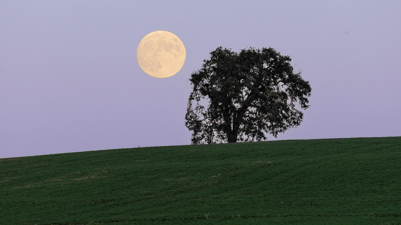 Moonrise