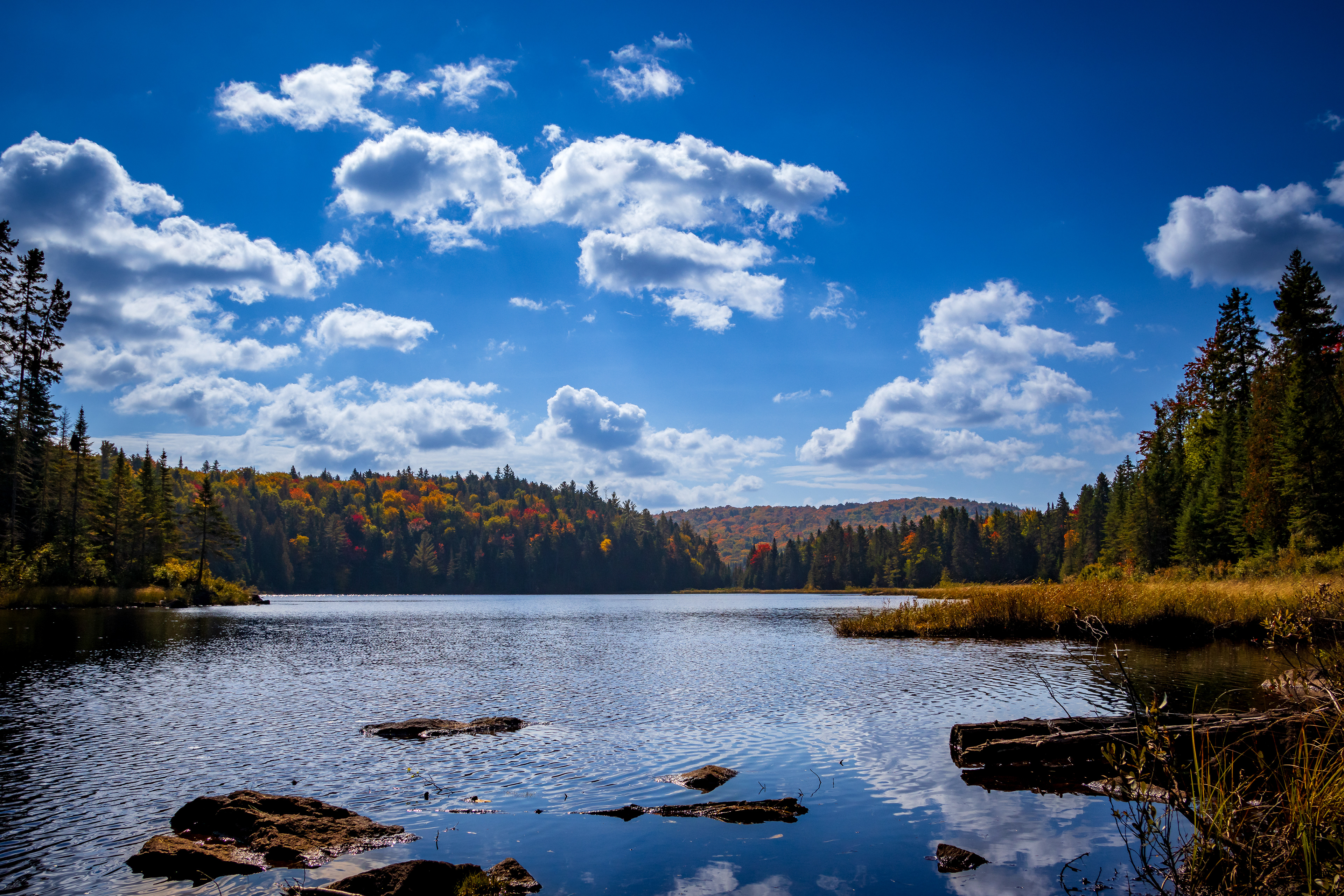 Parc La Mauricie, Quebec