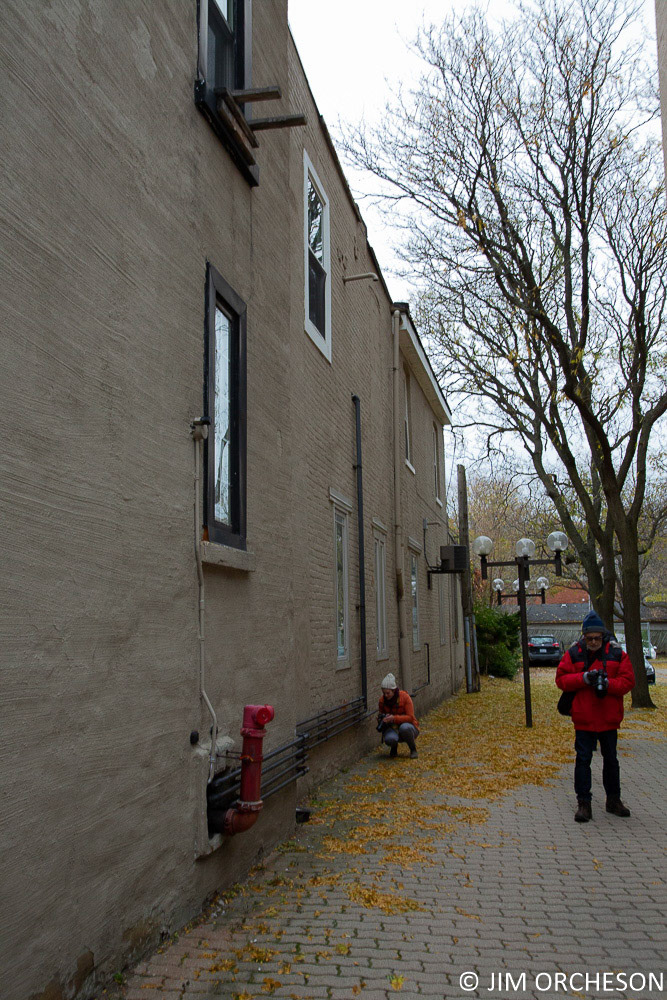 Is There a Good Shot Here?