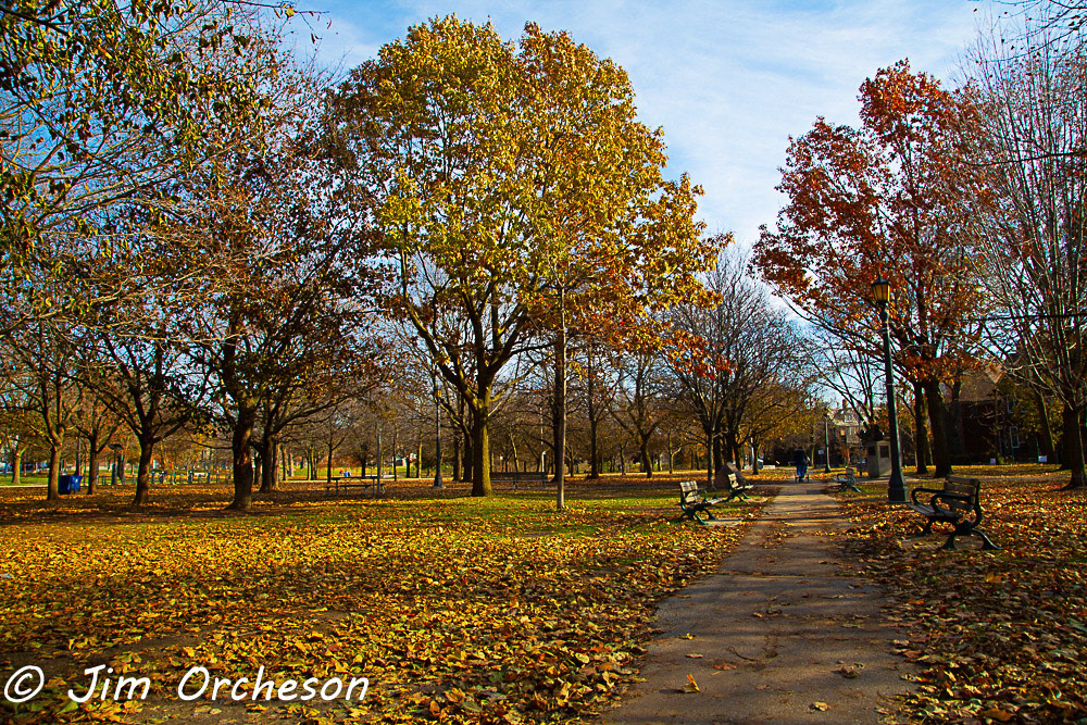 Trinity Bellwoods Park