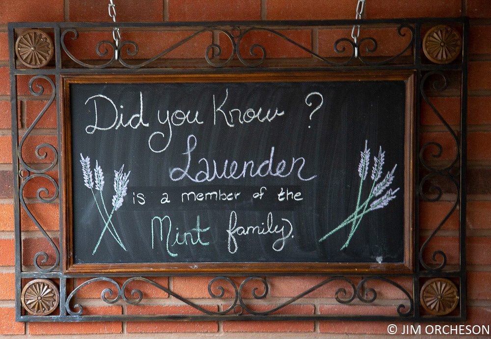 Lavender and Mint