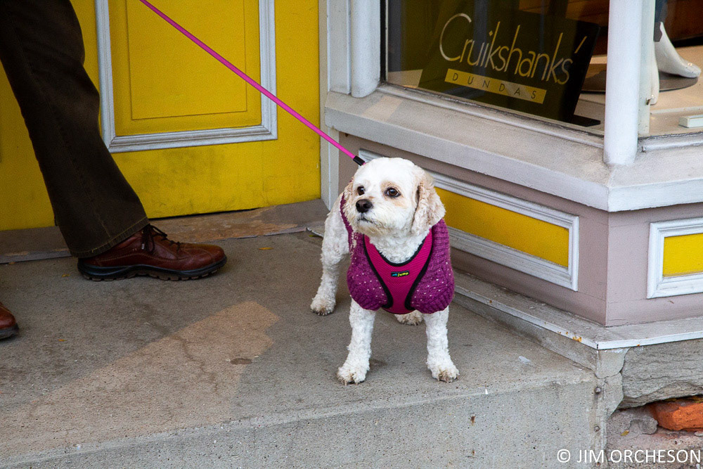 I Was Just Inside Shopping!