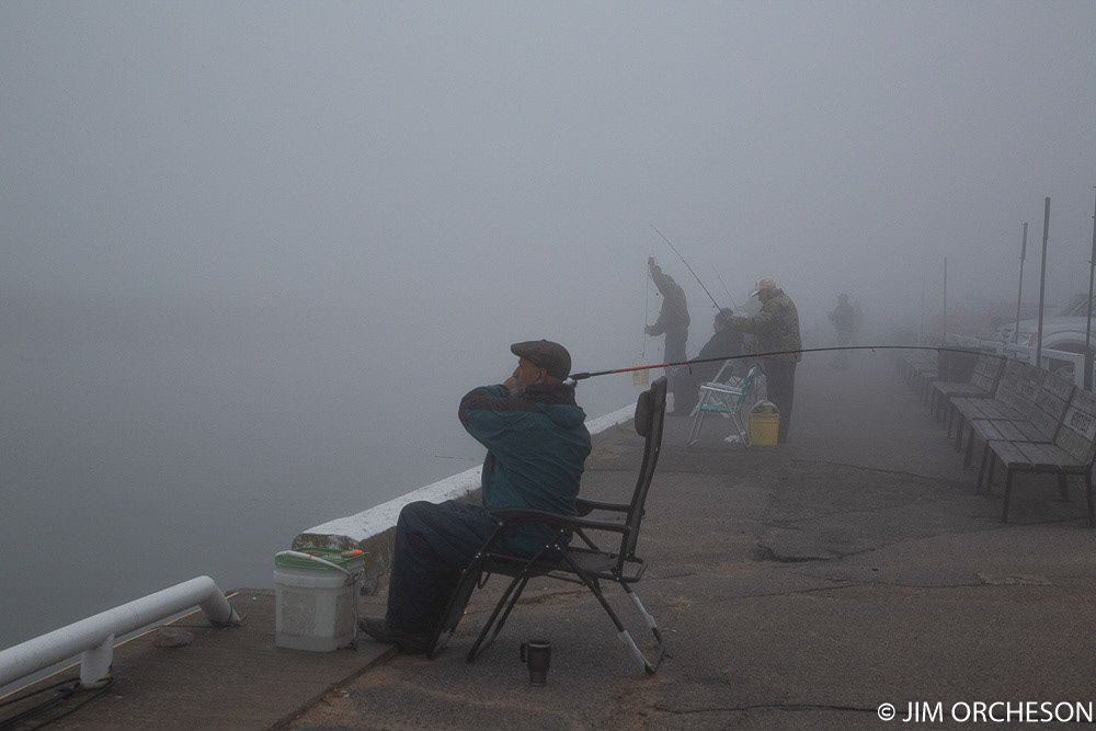 I hope the perch can see