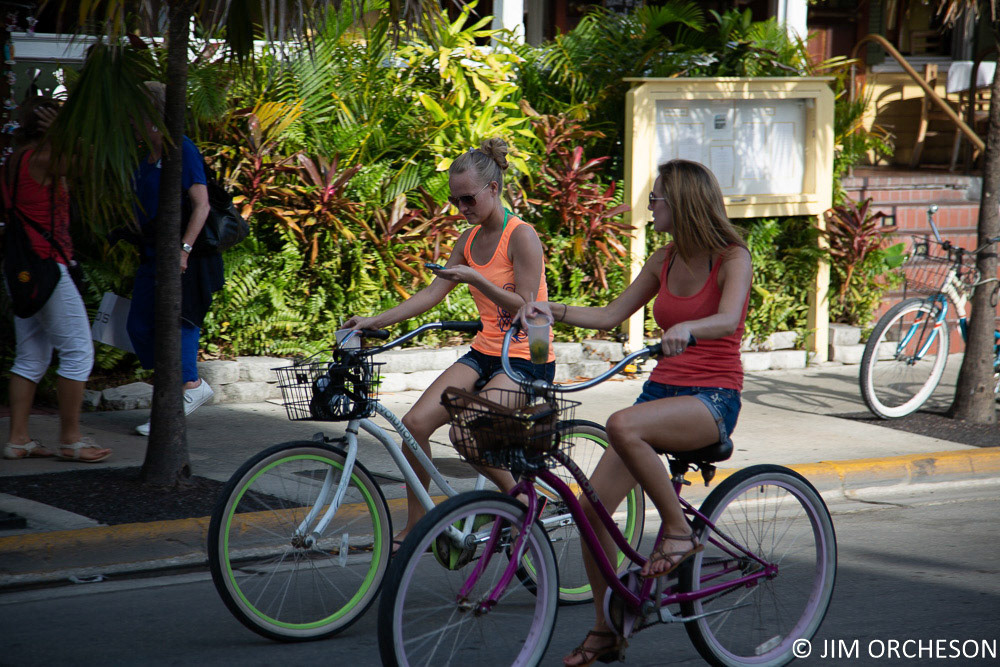 Ignoring Florida's Distracted Driver Law