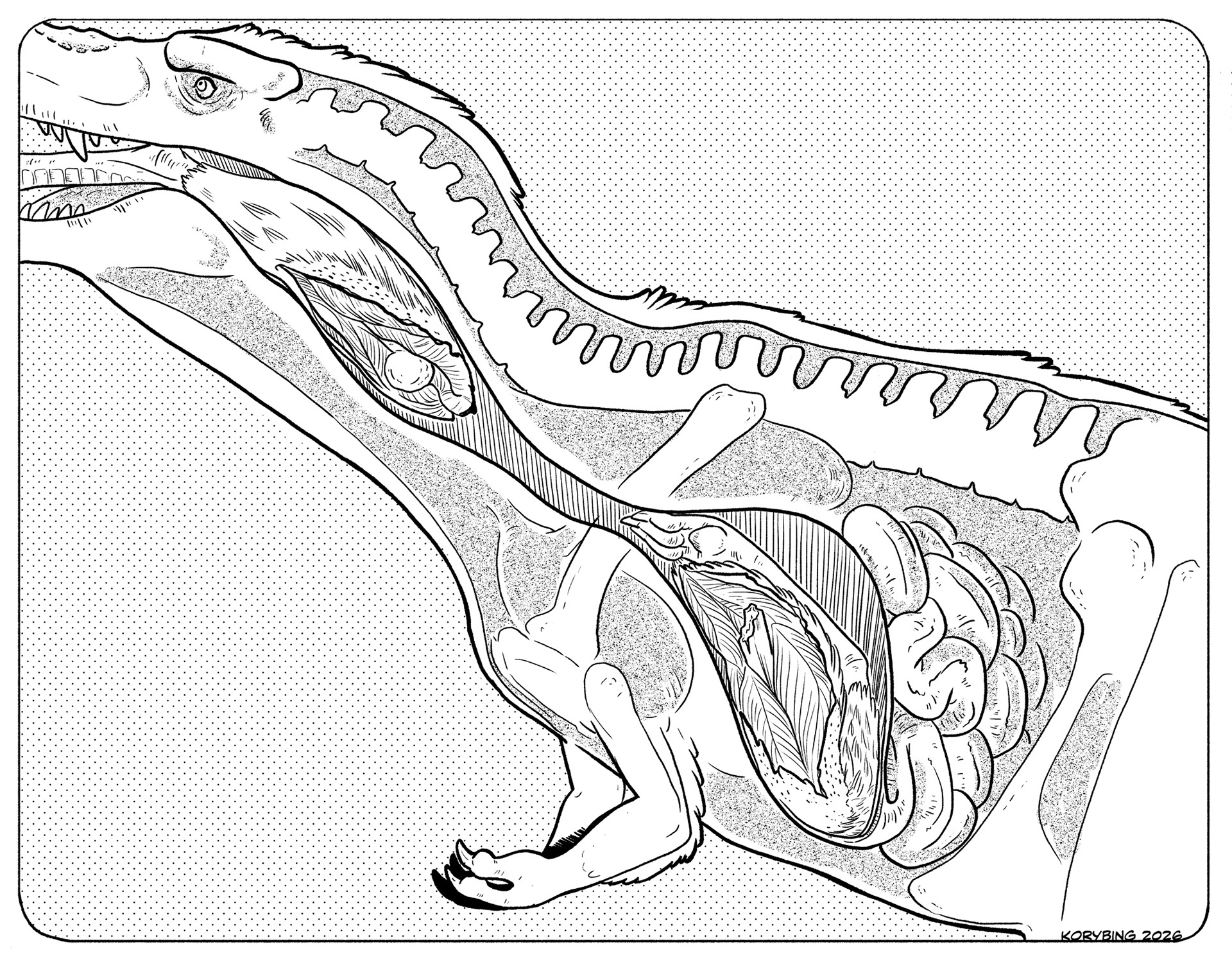 Internal view of the Tyrannosaur eating