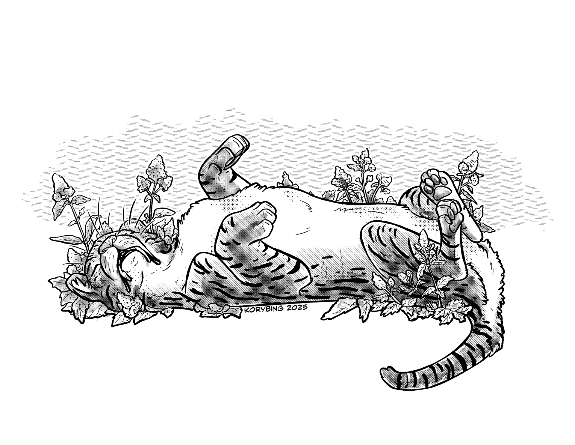 Machairodus in Catnip