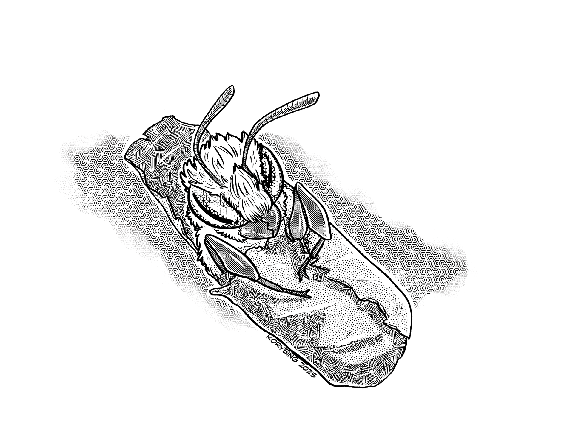 Leaf Cutter Bee