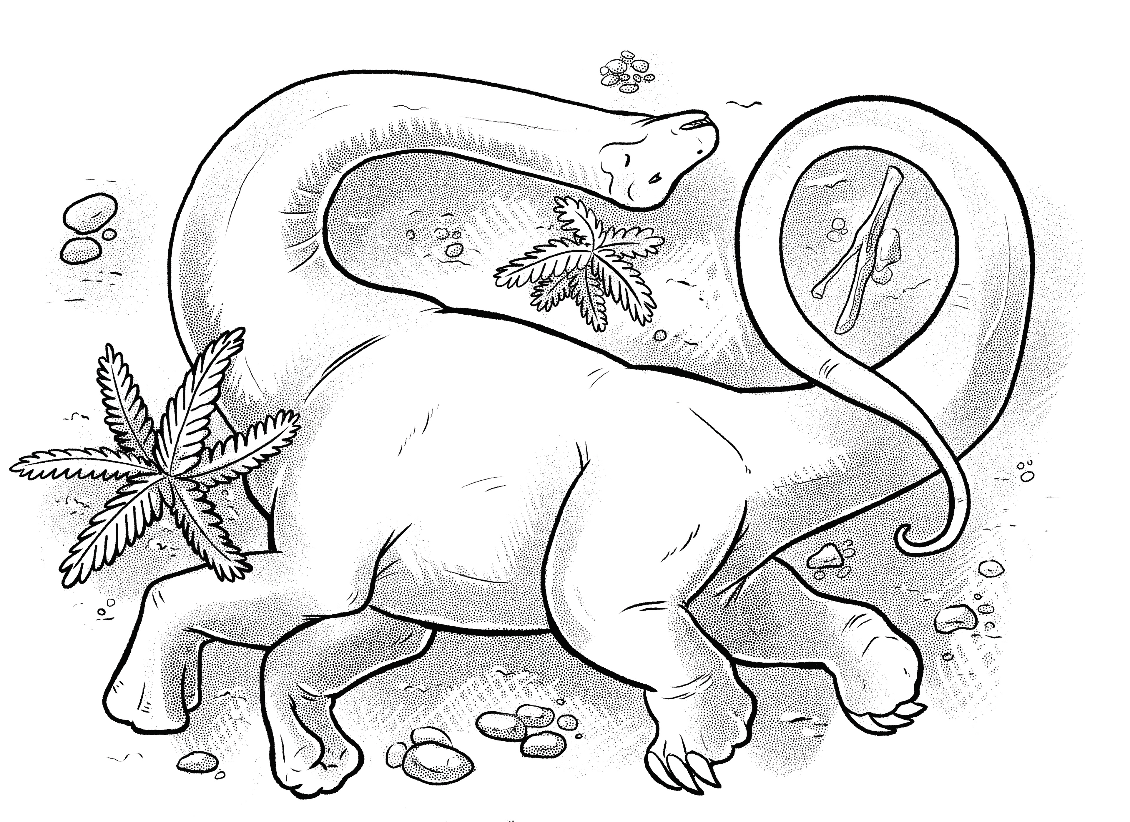 Jainosaurus