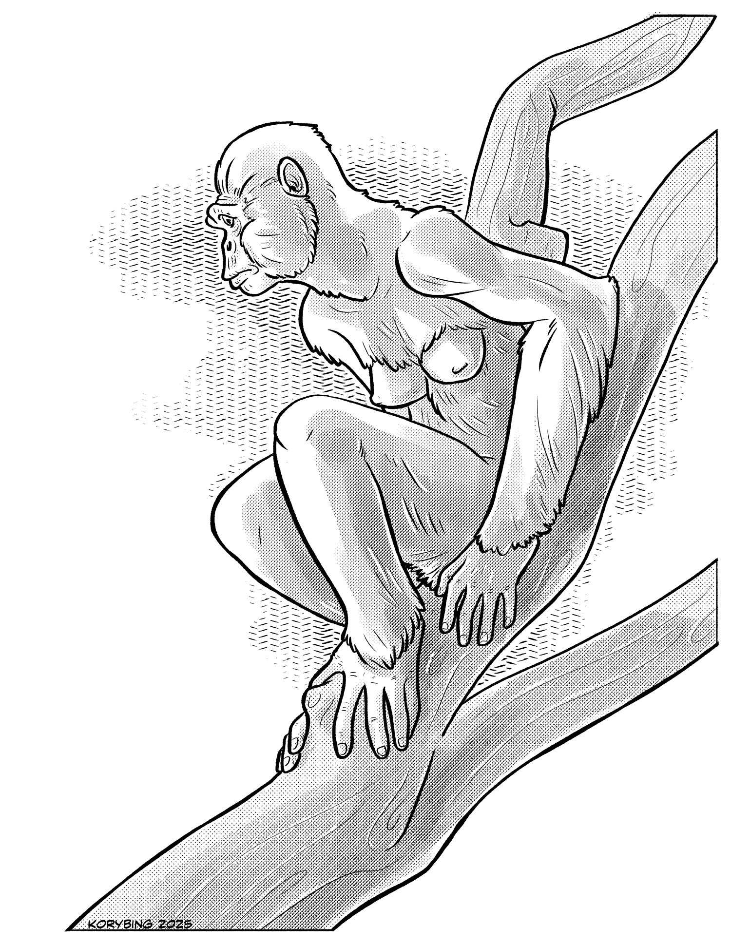 Ardipithecus