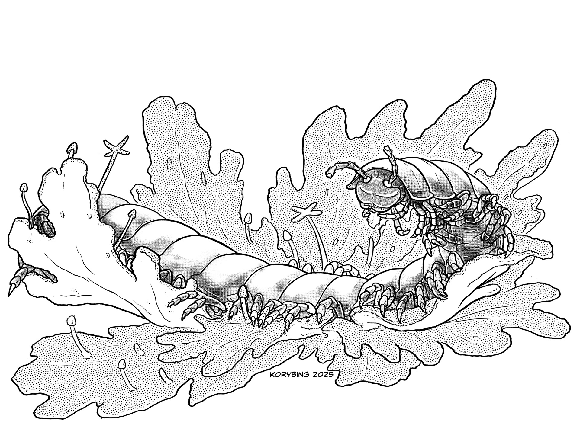Millipede on a Liverwort