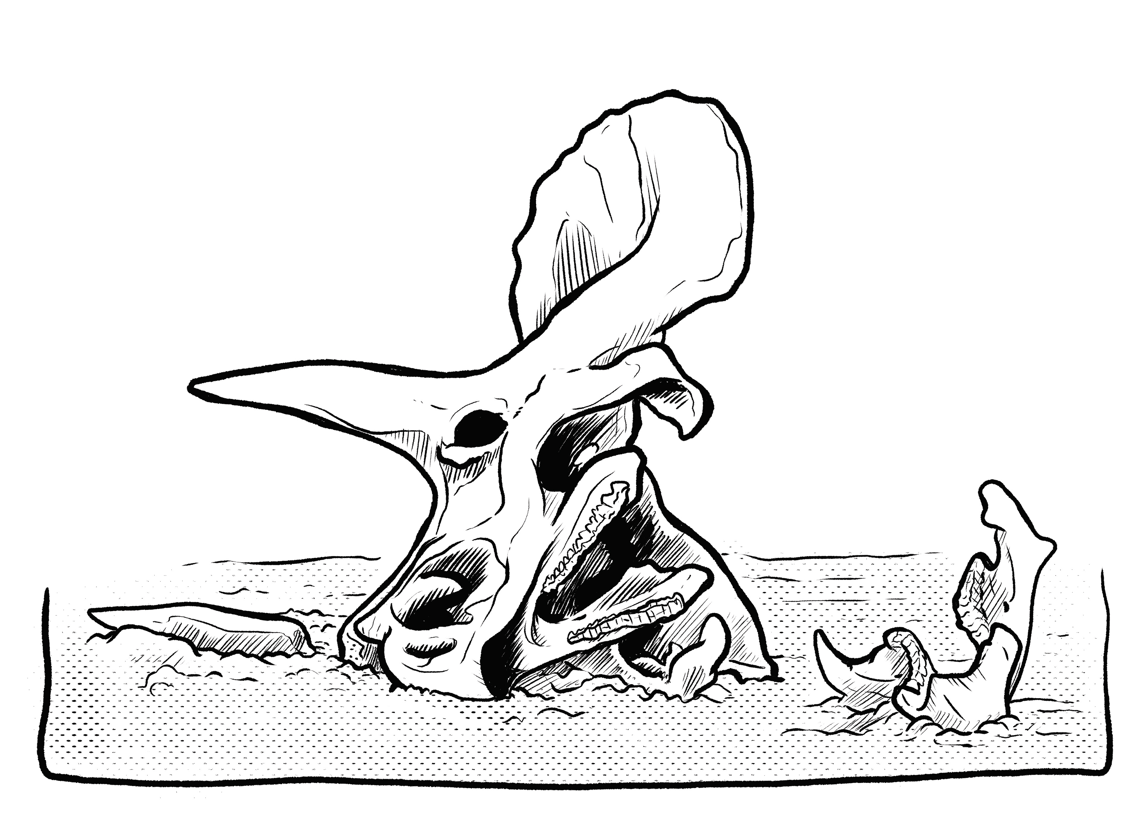 Triceratops