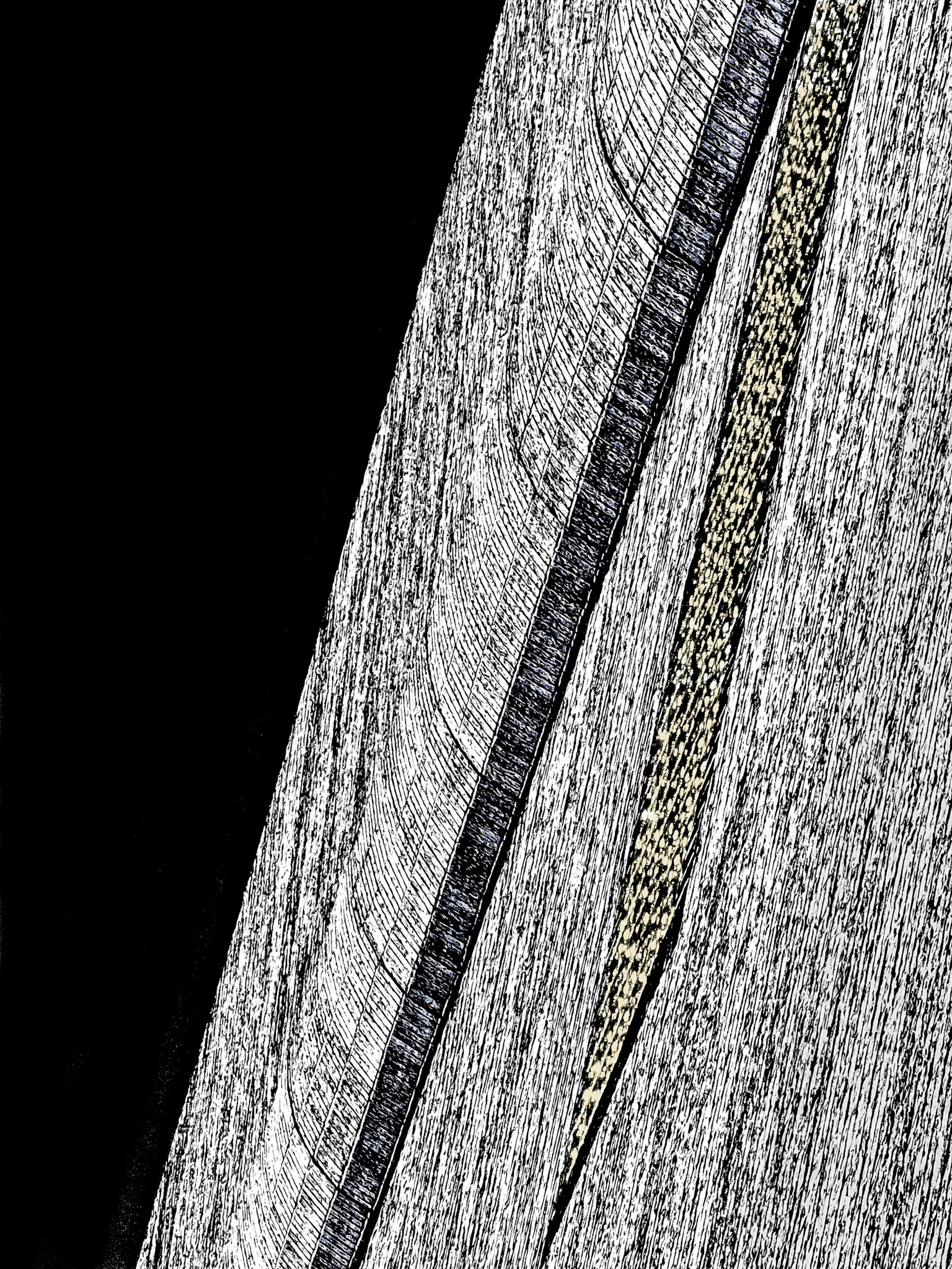 Two Lines
