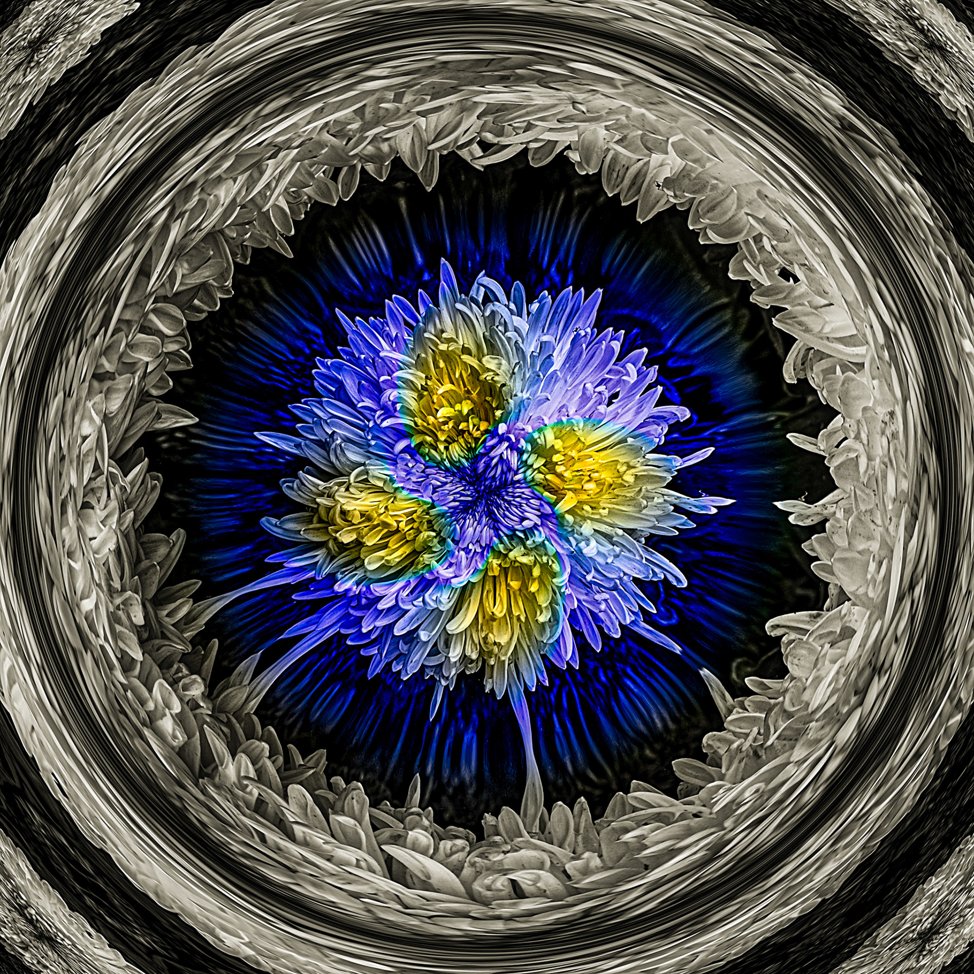 Flower Power