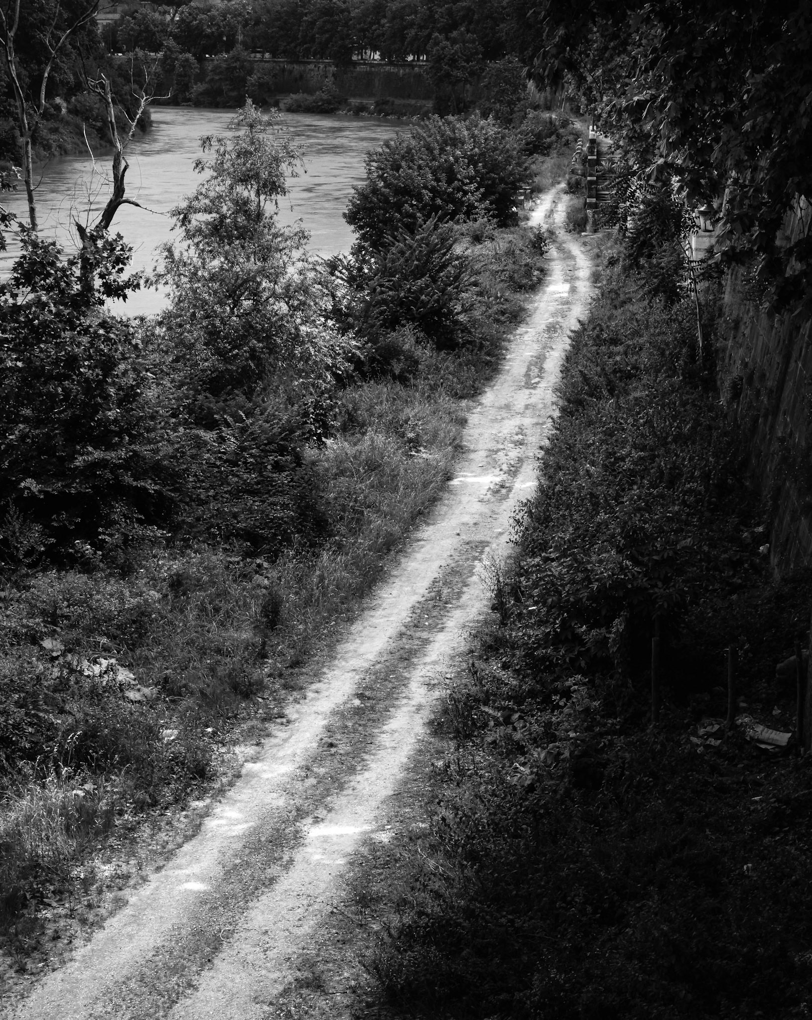 Tiber Pathway