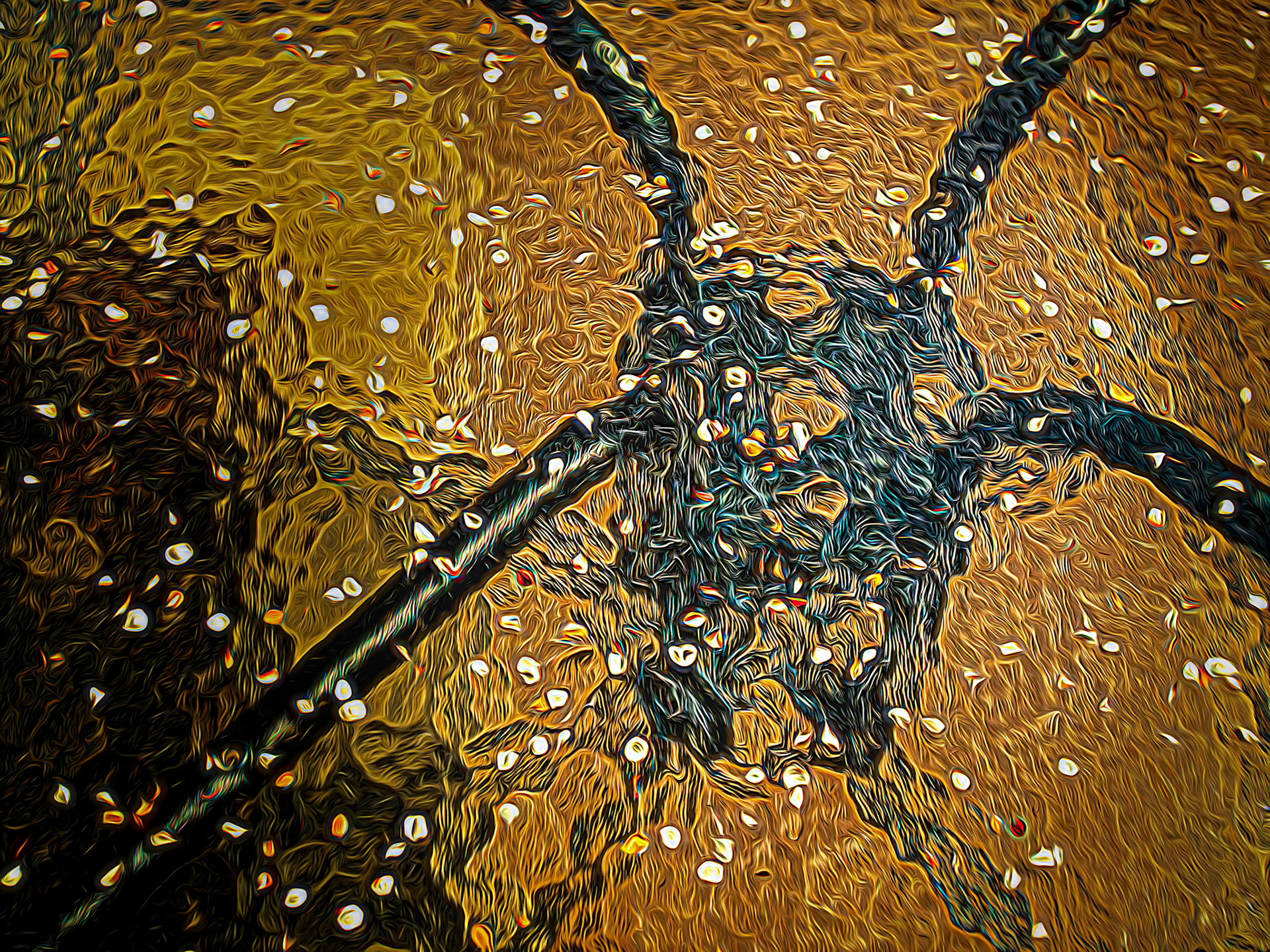 Glass Table after Storm