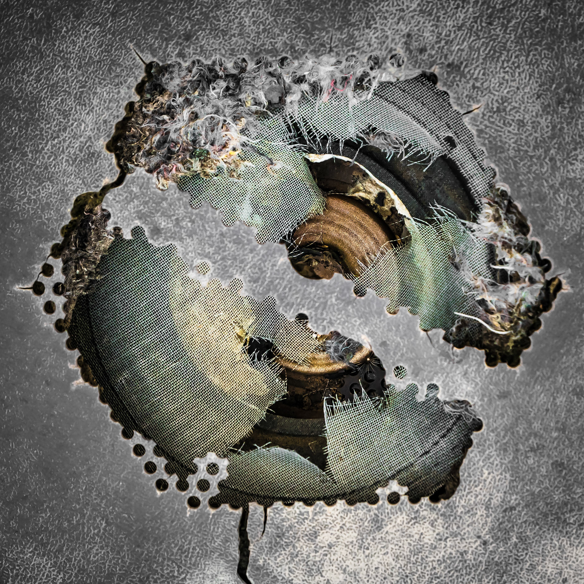 Change and Decay
