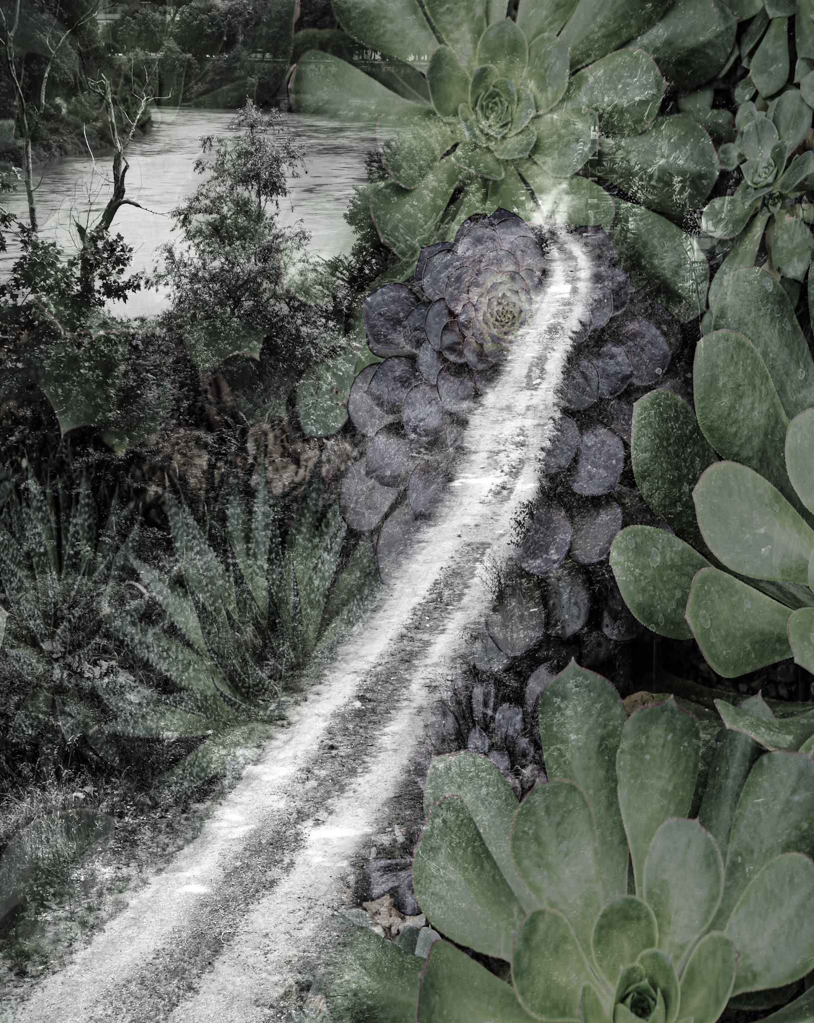 Garden Path