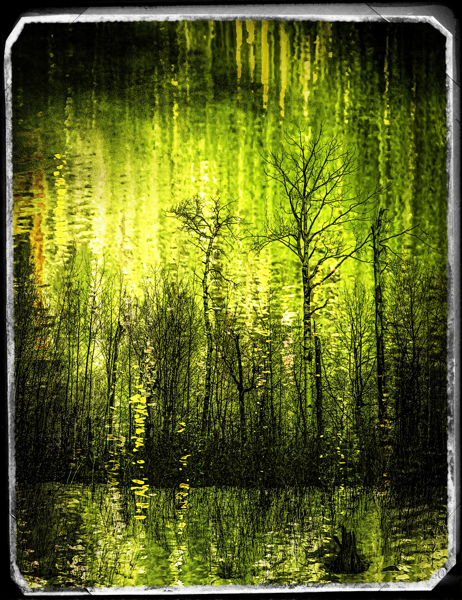 Land Under Water