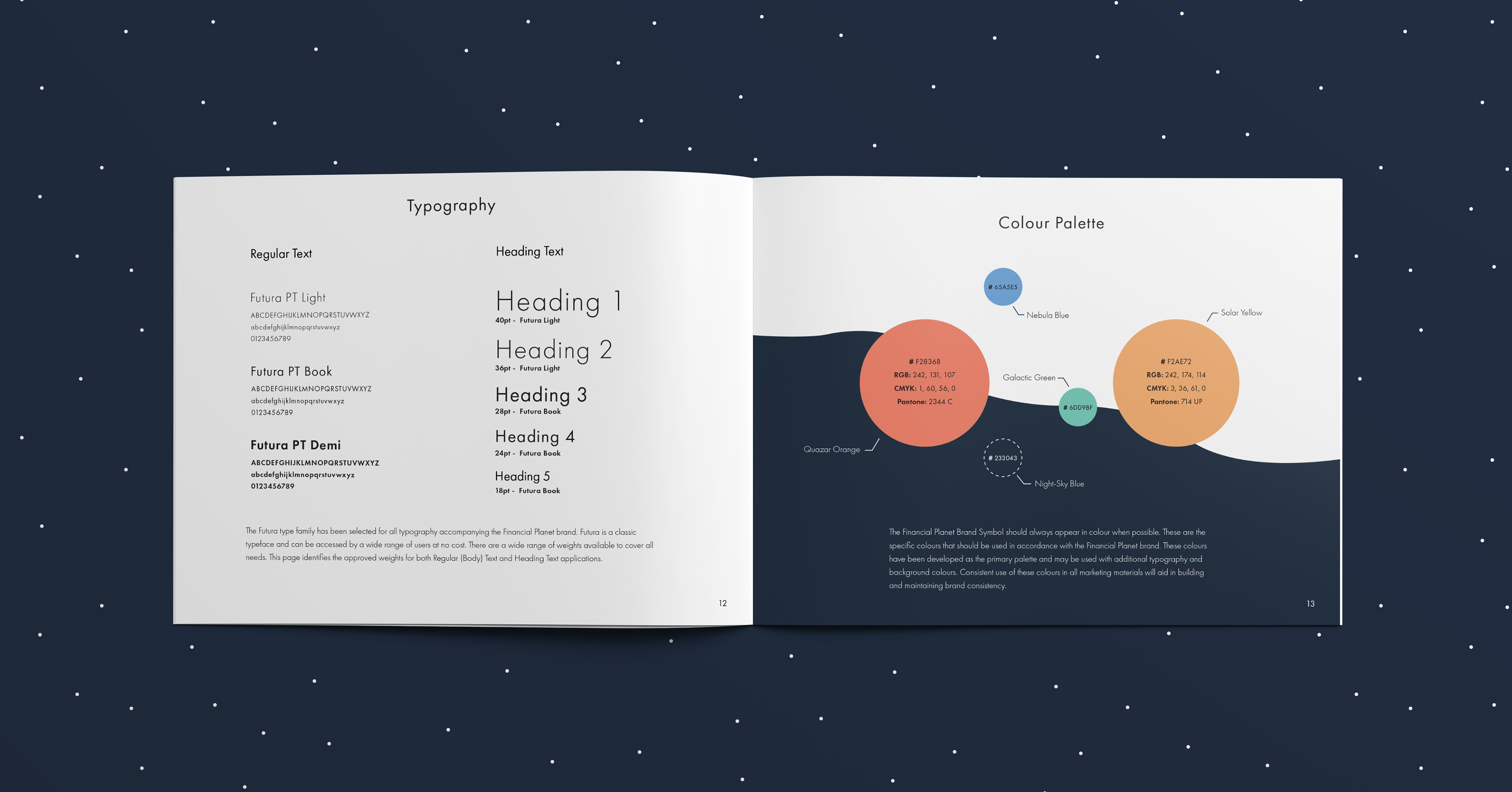 Financial Planet Brand Guidelines Sample Spread