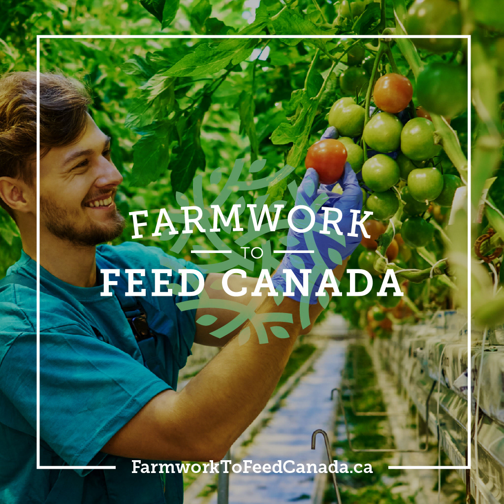 Farmwork to Feed Canada Social Content