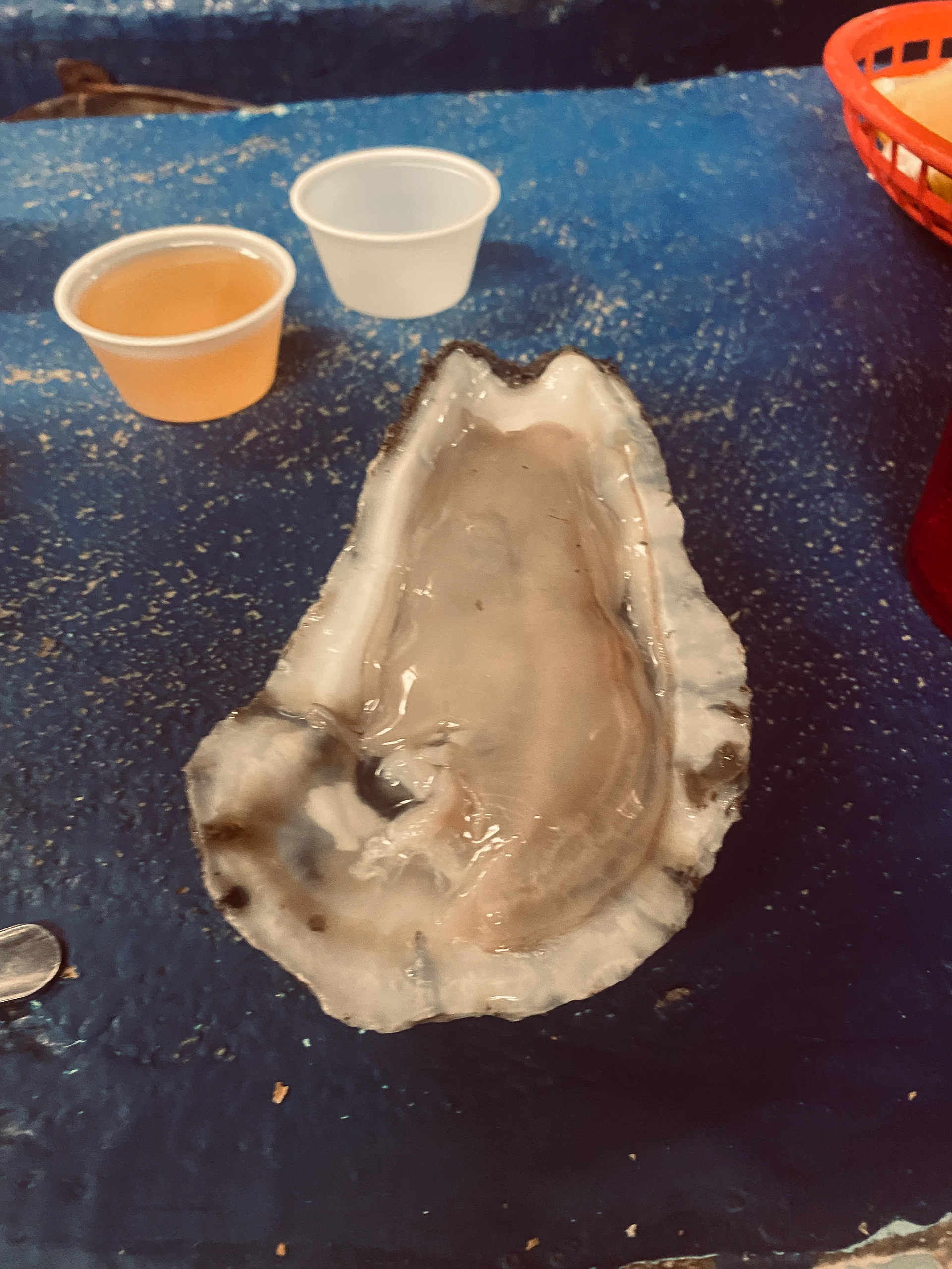 Giant Oyster