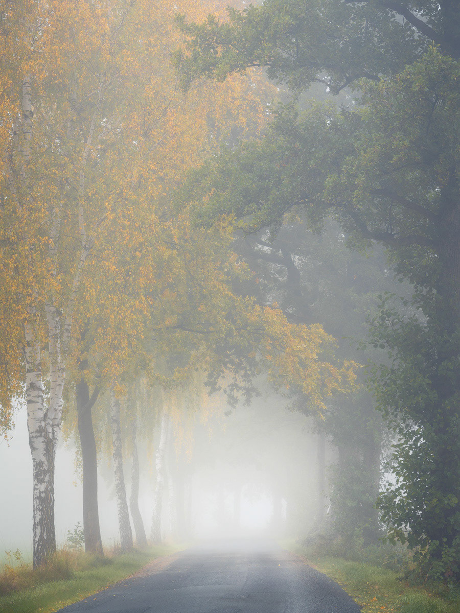 Breath of Solitude