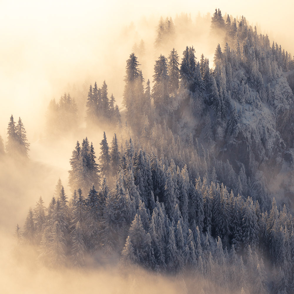 Winter on Fire