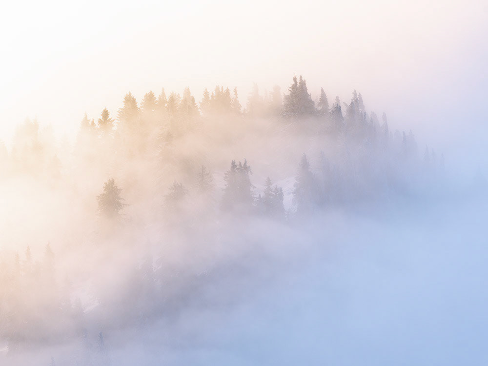Dreamy Haze