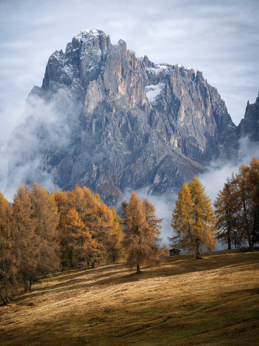 Autumn Kingdom
