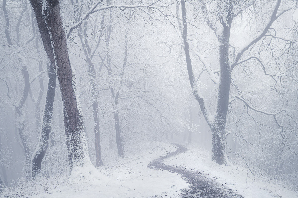 Frozen in Time