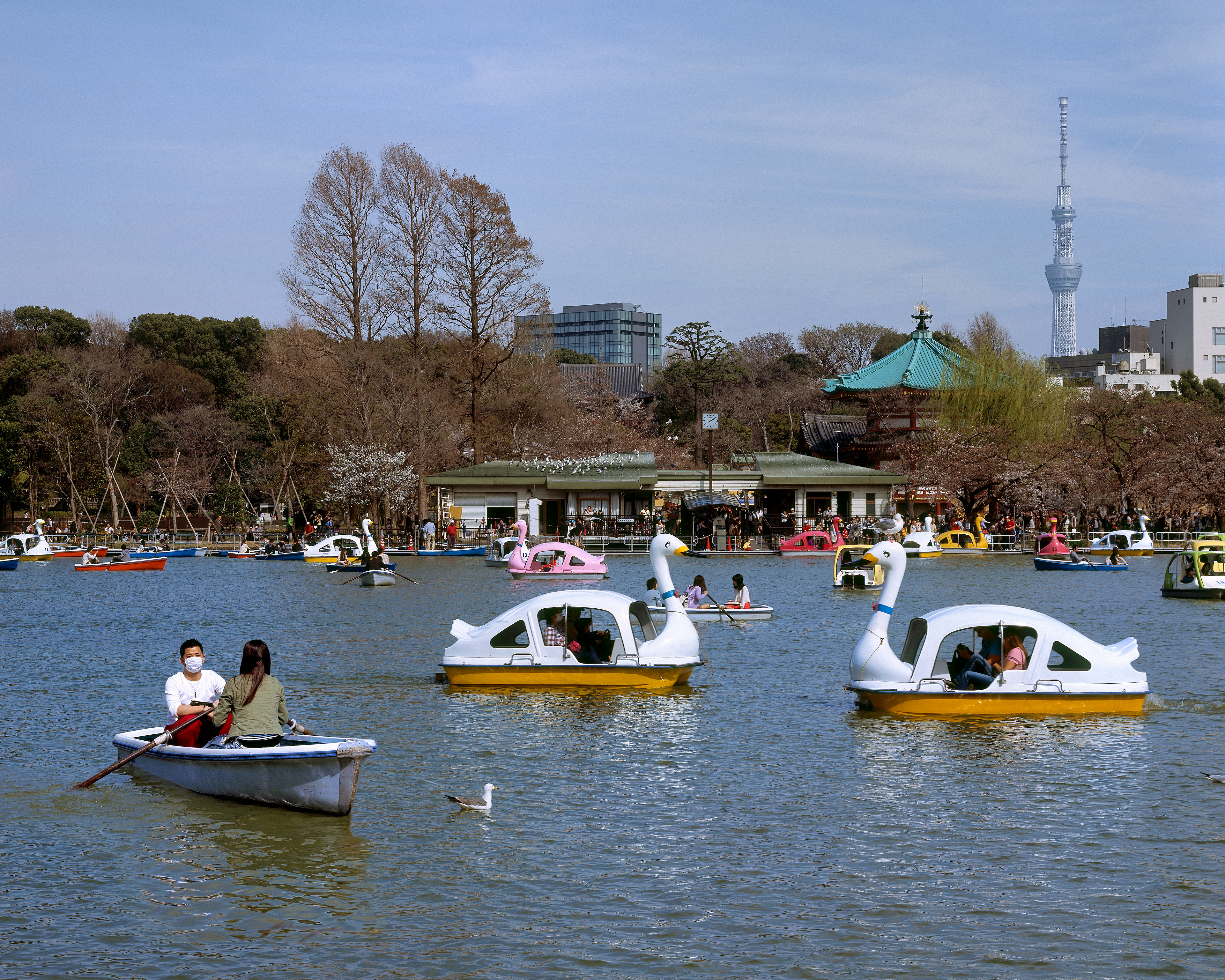 Ueno, Tokyo Japan