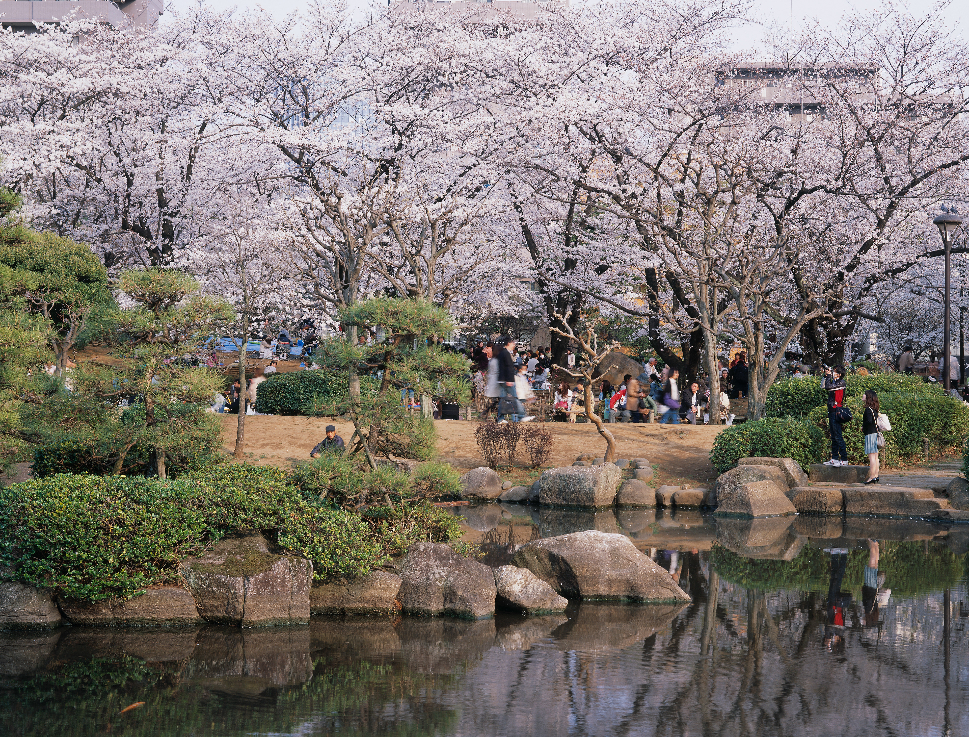 Akasuka, Tokyo Japan