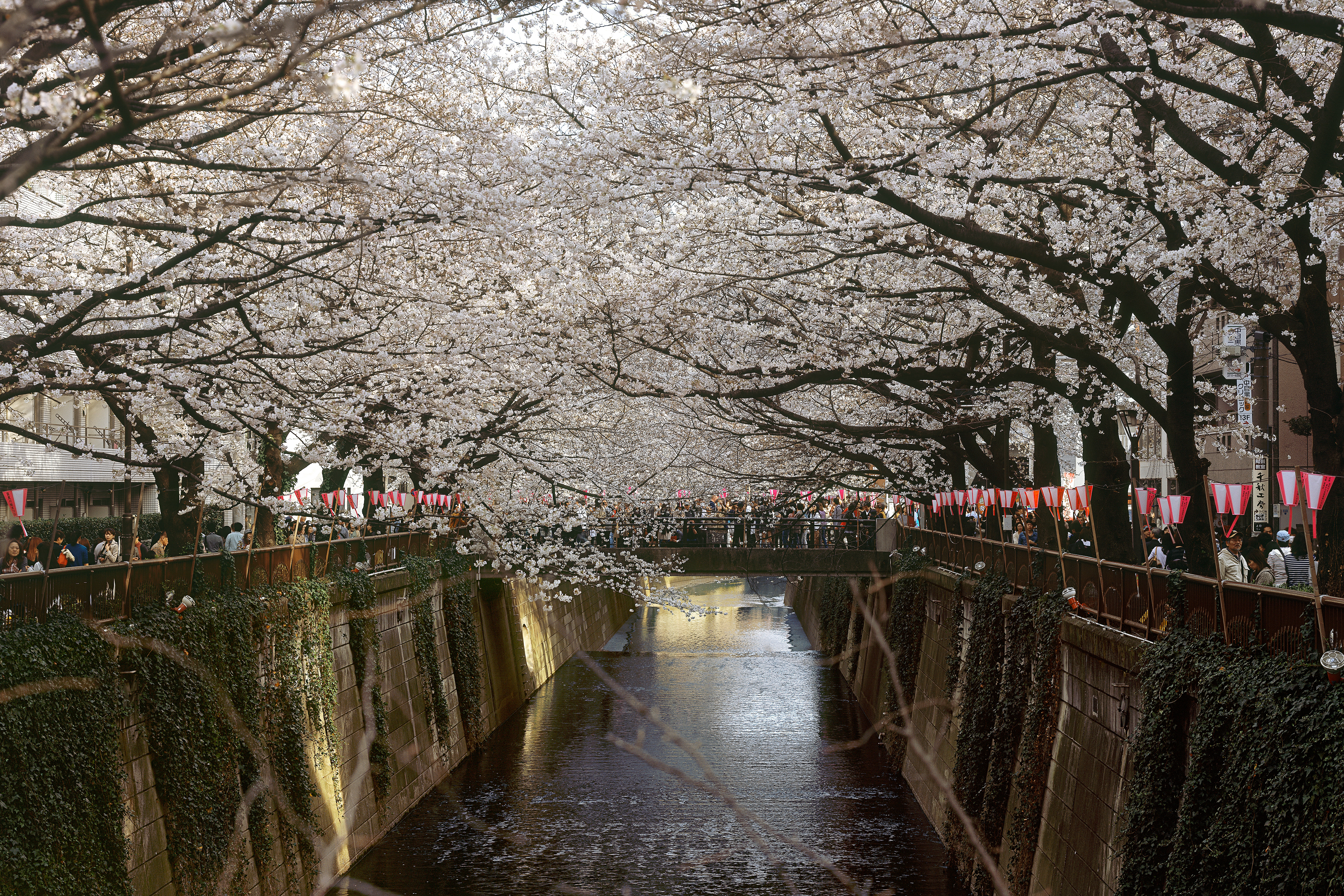 Naka-Meguro, Tokyo Japan