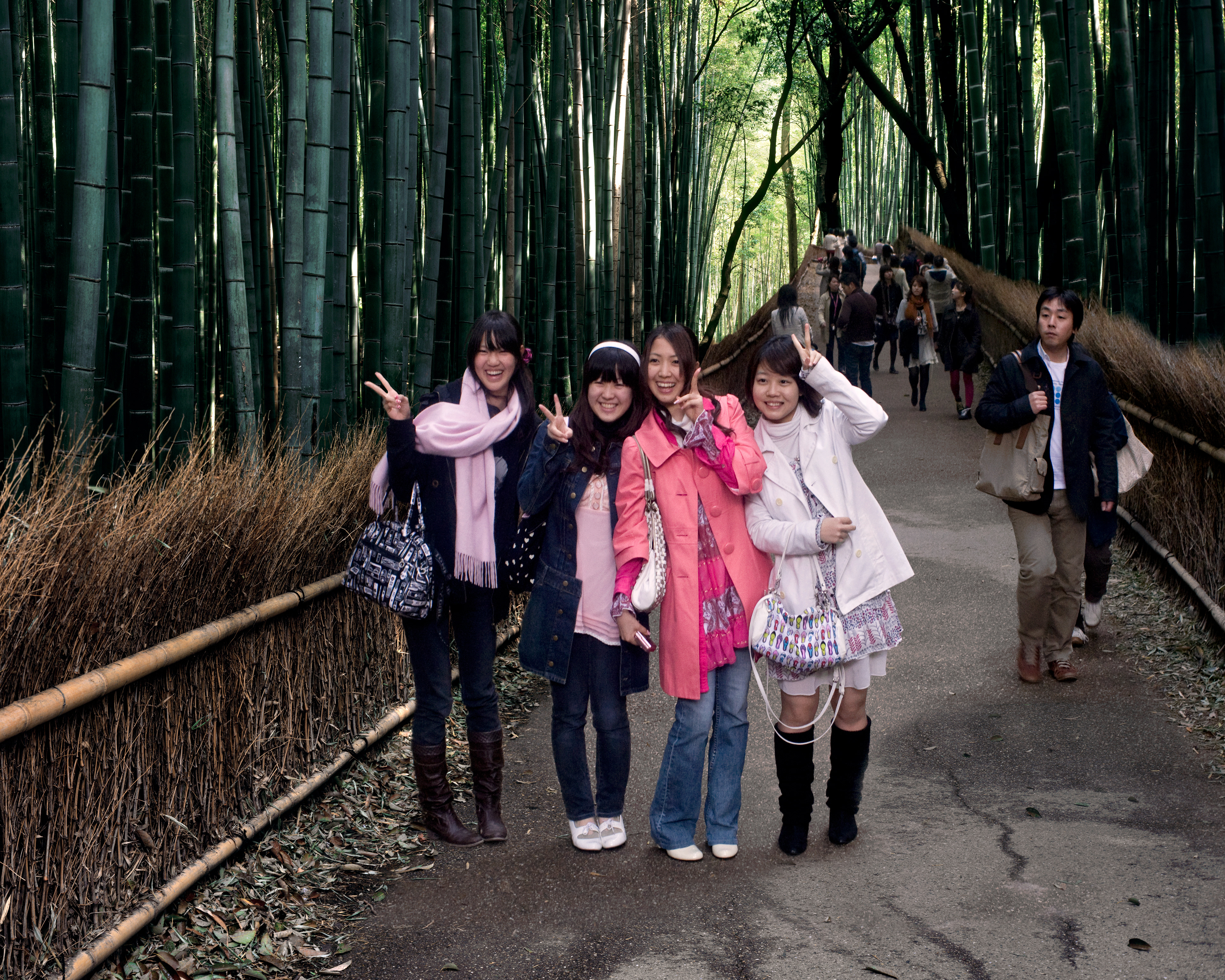 Arashiyama, Kyoto Japan