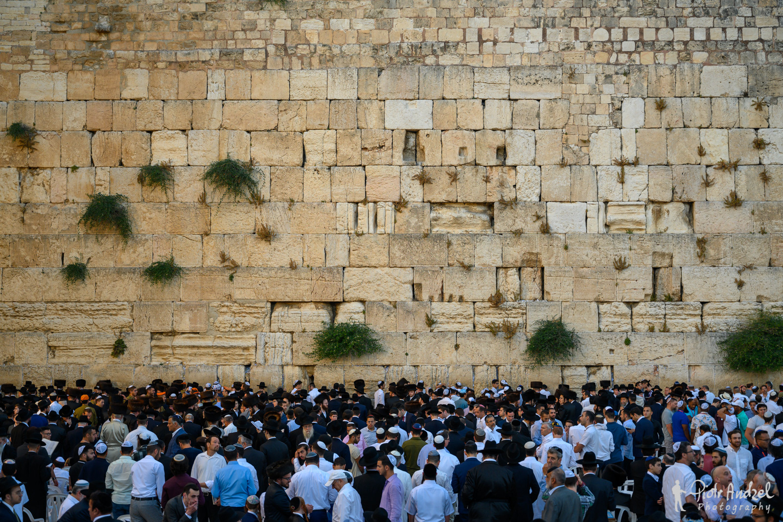 Western Wall