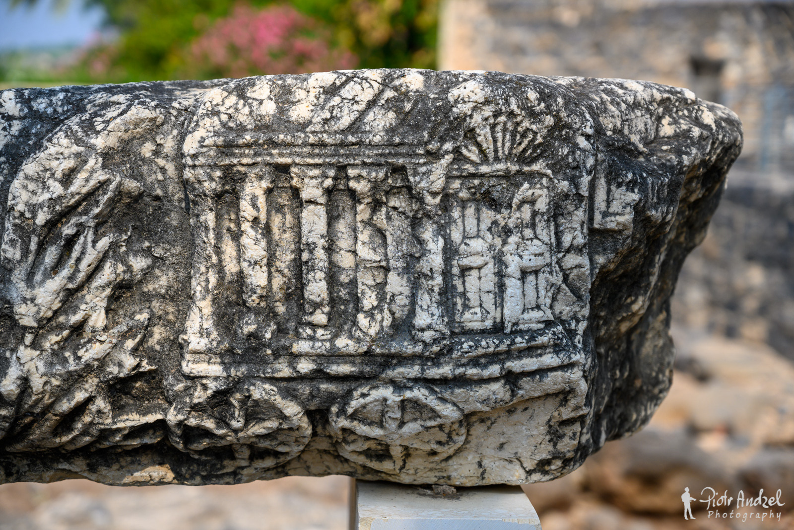 Fresque In Capharnaum