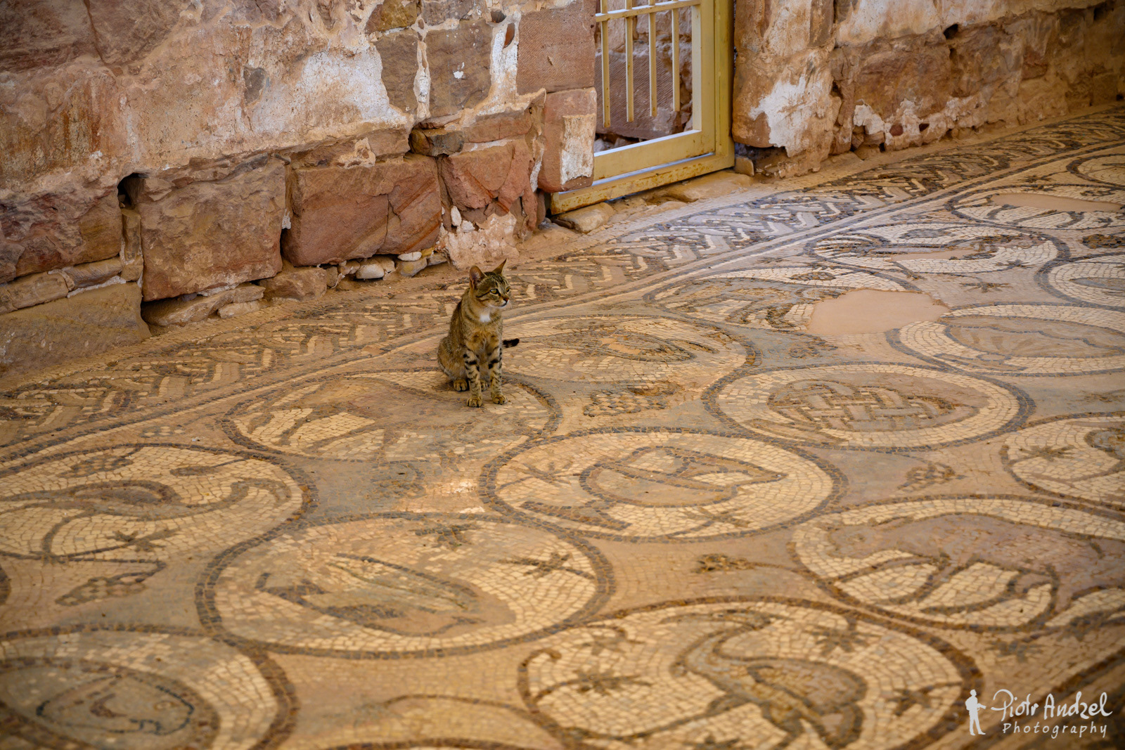 Madaba Mosaics