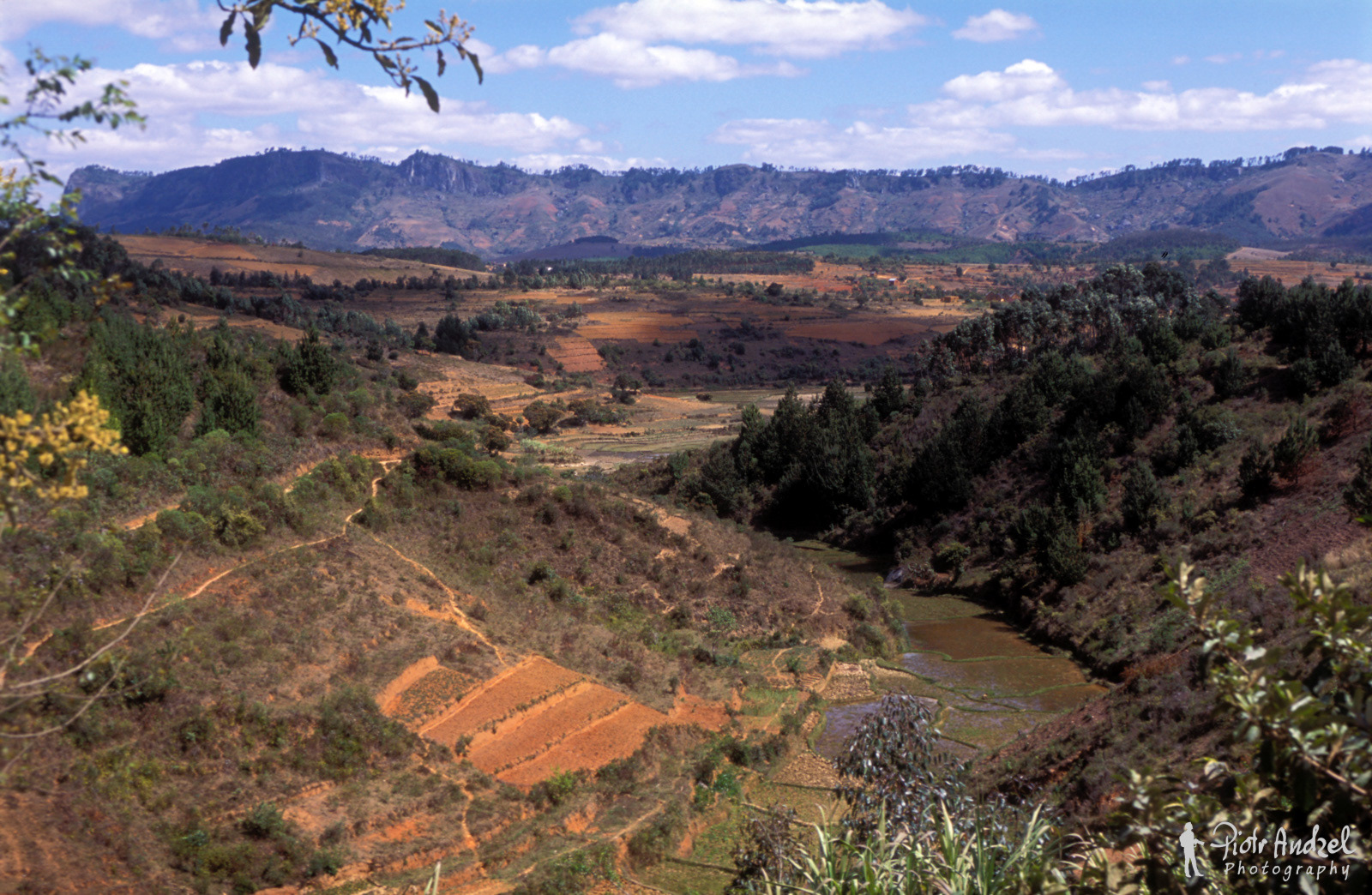 Landscape