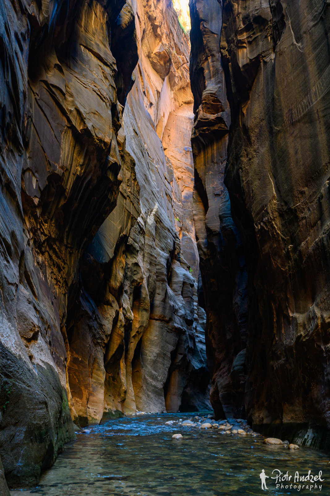 Zion Narrow