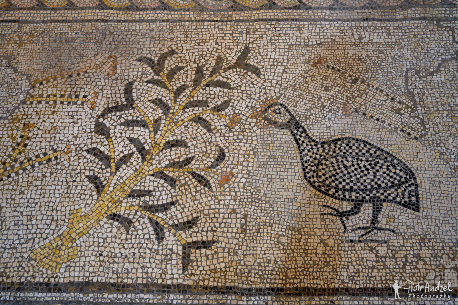 Mosaic in Church of Heptapegon