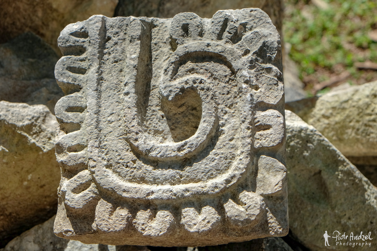 Ornament