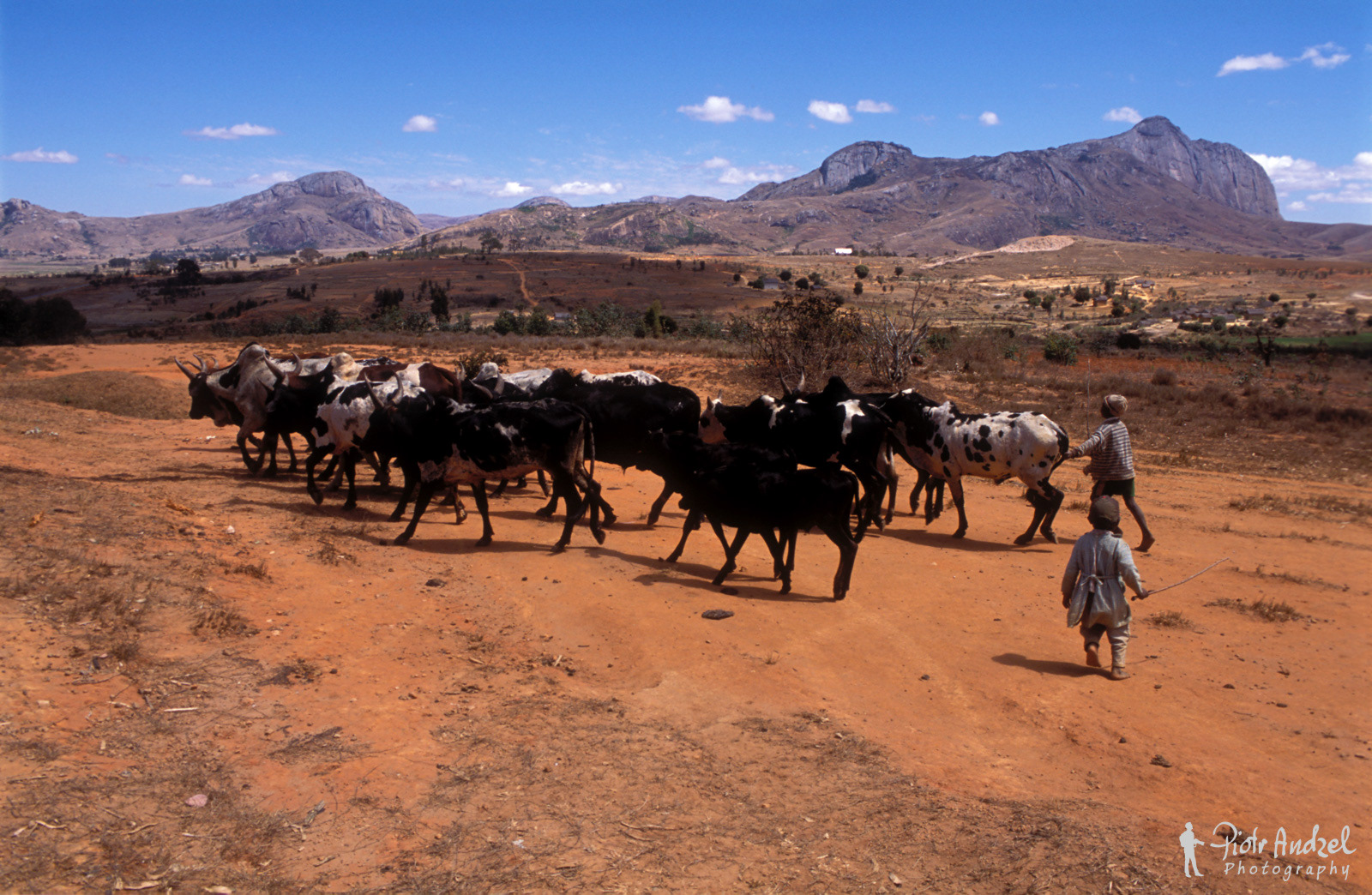 Herders